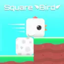 Square Bird